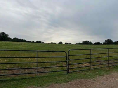 Equine Ranch in Daingerfield Texas For Sale - image 19