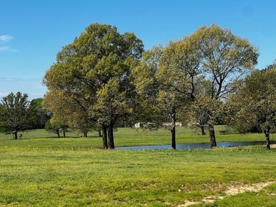 Equine Ranch in Daingerfield Texas For Sale - image 31