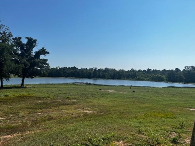 Equine Ranch in Daingerfield Texas For Sale - image 28