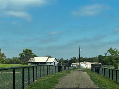 Equine Ranch in Daingerfield Texas For Sale - image 6