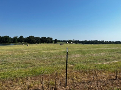 Equine Ranch in Daingerfield Texas For Sale - image 2