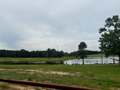 Equine Ranch in Daingerfield Texas For Sale - image 15