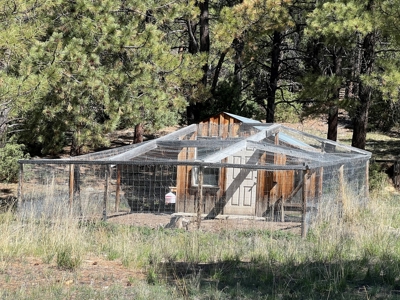Passive Solar Masterpiece in the Carson National Forest - image 9