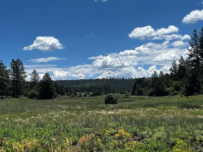 Passive Solar Masterpiece in the Carson National Forest - image 45