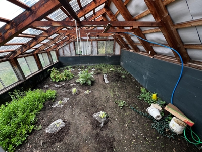 Passive Solar Masterpiece in the Carson National Forest - image 6