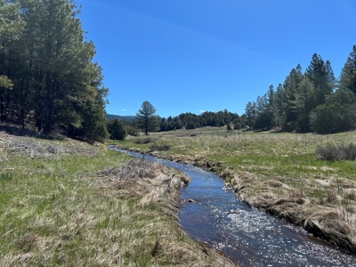 Passive Solar Masterpiece in the Carson National Forest - image 32