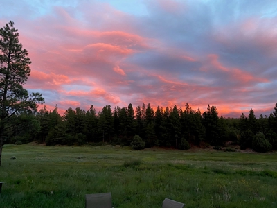 Passive Solar Masterpiece in the Carson National Forest - image 39