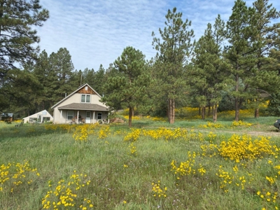 Passive Solar Masterpiece in the Carson National Forest - image 1