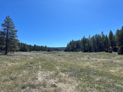 Passive Solar Masterpiece in the Carson National Forest - image 34