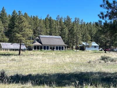 Passive Solar Masterpiece in the Carson National Forest - image 2