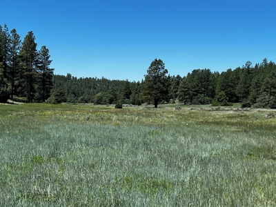 Passive Solar Masterpiece in the Carson National Forest - image 46