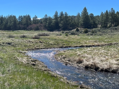 Passive Solar Masterpiece in the Carson National Forest - image 35