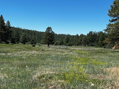 Passive Solar Masterpiece in the Carson National Forest - image 43