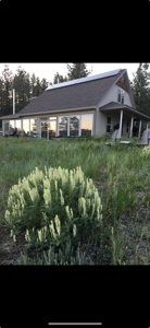 Passive Solar Masterpiece in the Carson National Forest - image 49