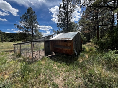 Passive Solar Masterpiece in the Carson National Forest - image 11