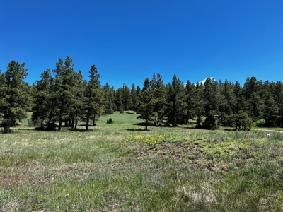 Passive Solar Masterpiece in the Carson National Forest - image 47
