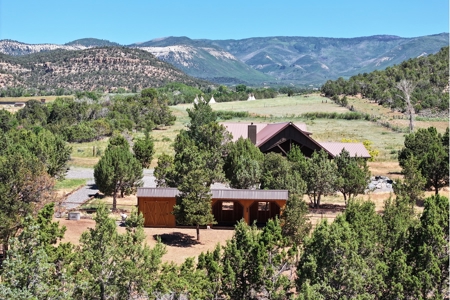 Log Home with Acreage and Horse Corrals For Sale in Colorado - image 35