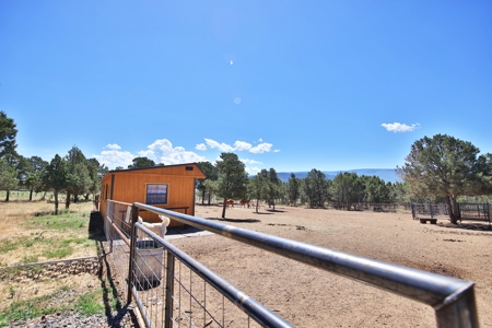 Log Home with Acreage and Horse Corrals For Sale in Colorado - image 44