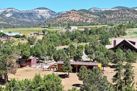 Log Home with Acreage and Horse Corrals For Sale in Colorado - image 33