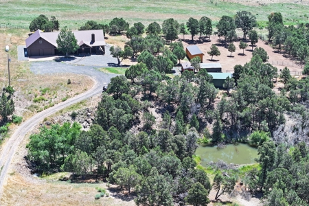 Log Home with Acreage and Horse Corrals For Sale in Colorado - image 45