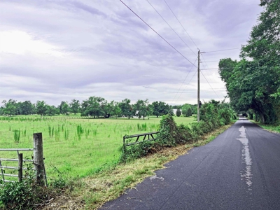 Land For Sale Florida. Rare Open Pasture - image 3
