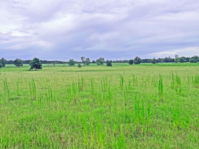 Land For Sale Florida. Rare Open Pasture - image 5