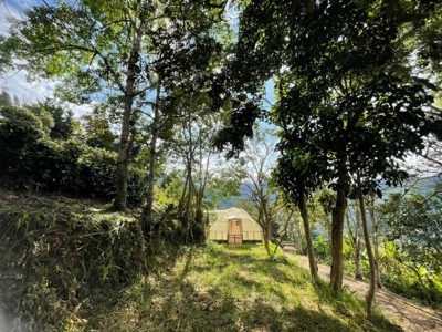 Residential Coffee farm in La Leonera Cali, Colombia - image 32