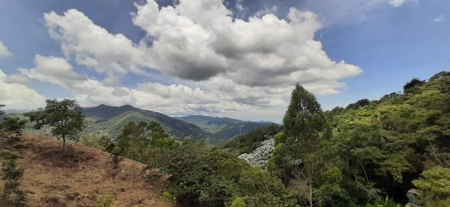 Residential Coffee farm in La Leonera Cali, Colombia - image 13