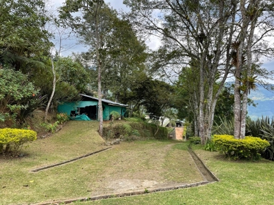 Residential Coffee farm in La Leonera Cali, Colombia - image 6