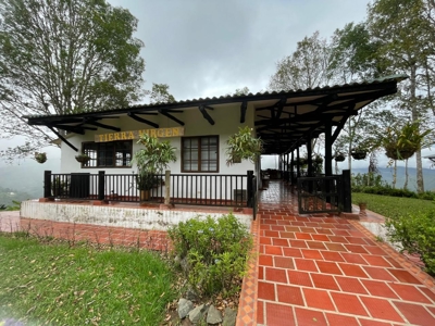 Residential Coffee farm in La Leonera Cali, Colombia - image 35