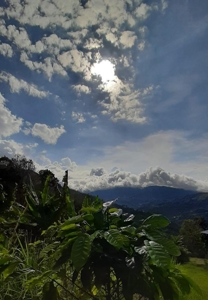Residential Coffee farm in La Leonera Cali, Colombia - image 21