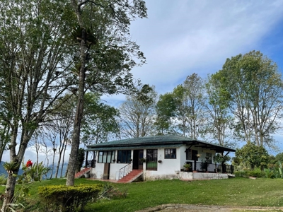 Residential Coffee farm in La Leonera Cali, Colombia - image 34