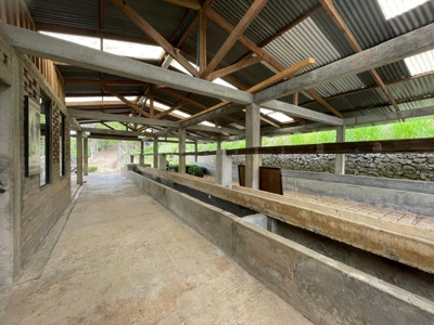 Residential Coffee farm in La Leonera Cali, Colombia - image 23