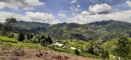 Residential Coffee farm in La Leonera Cali, Colombia - image 14