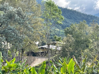 Residential Coffee farm in La Leonera Cali, Colombia - image 11
