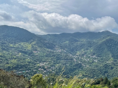 Residential Coffee farm in La Leonera Cali, Colombia - image 10