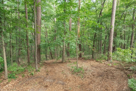 Winnsboro Wood County Texas Horseshoe Bend Home + 15.5 Acres - image 43