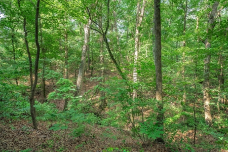Winnsboro Wood County Texas Horseshoe Bend Home + 15.5 Acres - image 45