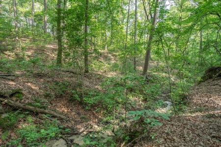 Winnsboro Wood County Texas Horseshoe Bend Home + 15.5 Acres - image 44
