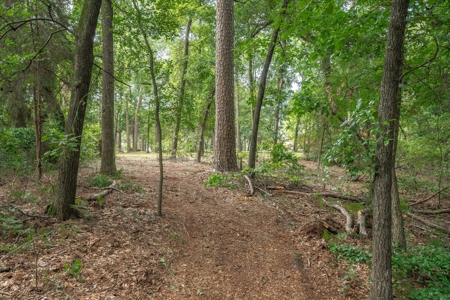 Winnsboro Wood County Texas Horseshoe Bend Home + 15.5 Acres - image 42