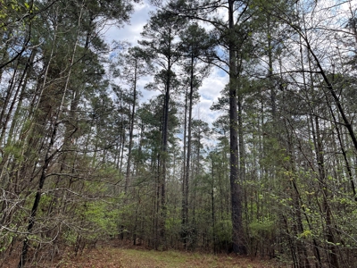 Cleveland Co., AR Hardwood Hunting Land W/ Creek for Sale - image 1