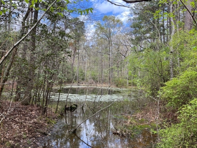 Cleveland Co., AR Hardwood Hunting Land W/ Creek for Sale - image 4