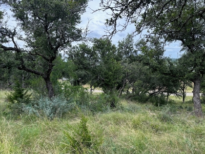 Lakeview Home Lot 385 in the Kings Point Cove Resort - image 10