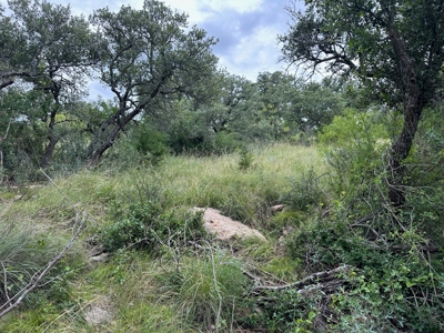 Lakeview Home Lot 385 in the Kings Point Cove Resort - image 6