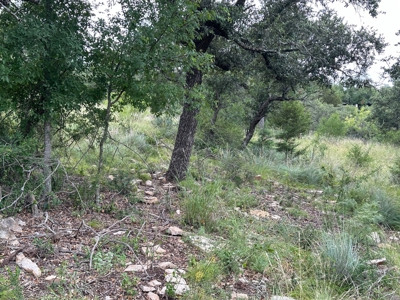 Lakeview Home Lot 385 in the Kings Point Cove Resort - image 5