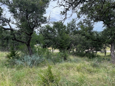 Lakeview Home Lot 385 in the Kings Point Cove Resort - image 9