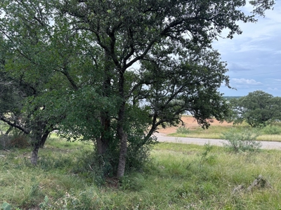 Lakeview Home Lot 385 in the Kings Point Cove Resort - image 2
