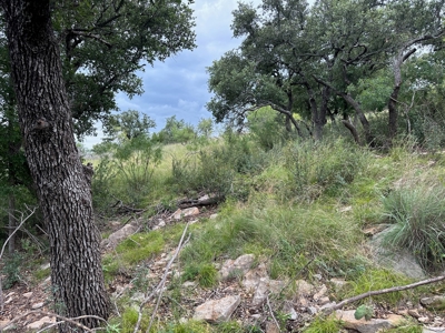Lakeview Home Lot 385 in the Kings Point Cove Resort - image 7