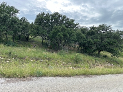 Lakeview Home Lot 385 in the Kings Point Cove Resort - image 12