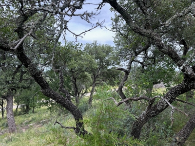 Lakeview Home Lot 385 in the Kings Point Cove Resort - image 11